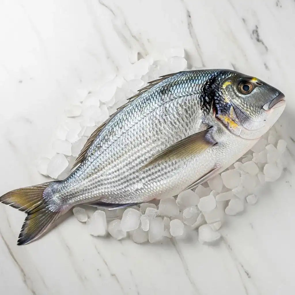 Capitaine Empereur frais sur glace, poisson surgelé à chair ferme et goût délicat, adapté aux préparations culinaires variées.